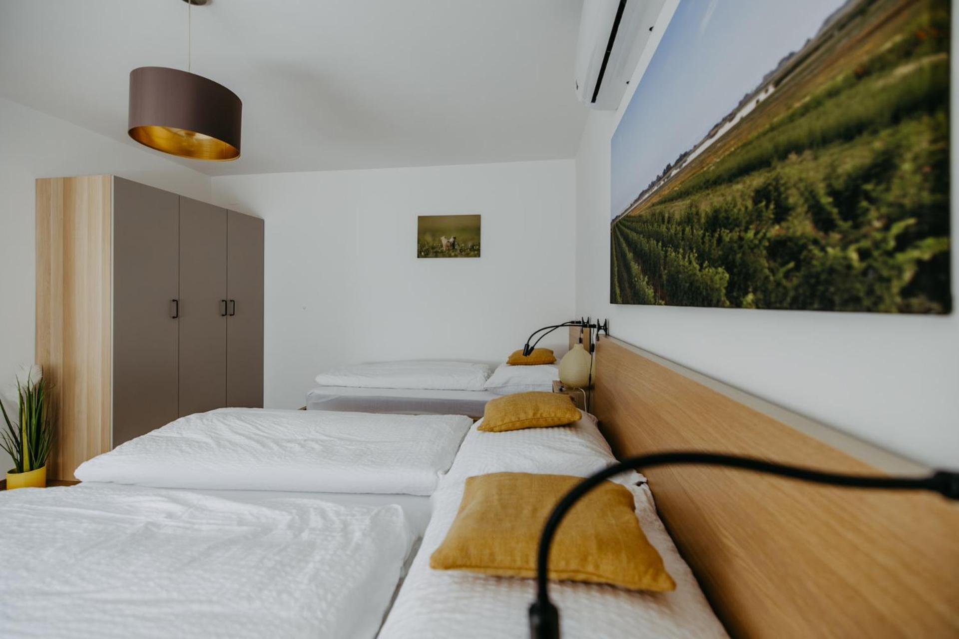 Ferienwohnung Illy イルミッツ エクステリア 写真
