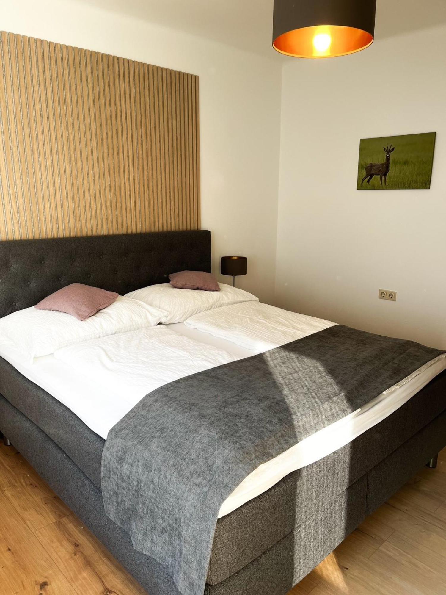 Ferienwohnung Illy イルミッツ エクステリア 写真